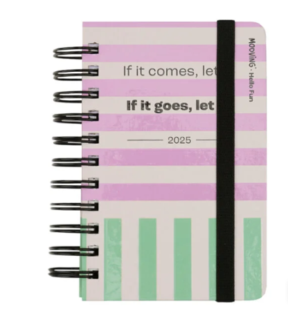 AGENDA MOOVING 2025 10X15 DXP HELLO FUN 384 PAG - 1403155 (x U.)