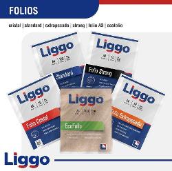 FOLIO LIGGO ESCOLAR X100 STD (x U.)