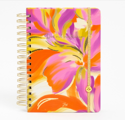 AGENDA FW 2025 15x21 DXP - BOHO 995 / CUTE 994 / INSPIRE 992 (x U.)