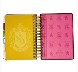 AGENDA MOOVING 2025 14X20 DXP HARRY POTTER - 1404222 (x U.)