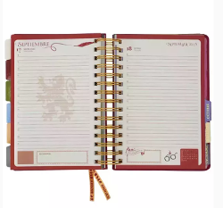 AGENDA MOOVING 2025 14X20 DXP HARRY POTTER - 1404222 (x U.)