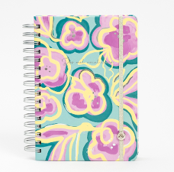 AGENDA FW 2025 15x21 DXP - BOHO 995 / CUTE 994 / INSPIRE 992 (x U.)