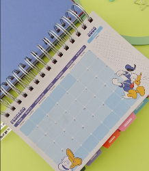 AGENDA MOOVING 2025 14X20 DXP MICKEY & FRIENDS - 1418253 (x U.)