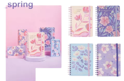 AGENDA MOOVING 2025 15X21 DXP SPRING 384 PAG - 1405128 (x U.)