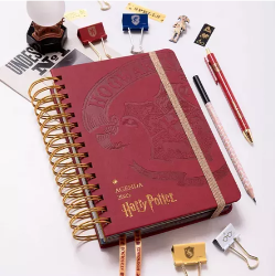 AGENDA MOOVING 2025 14X20 DXP HARRY POTTER - 1404222 (x U.)